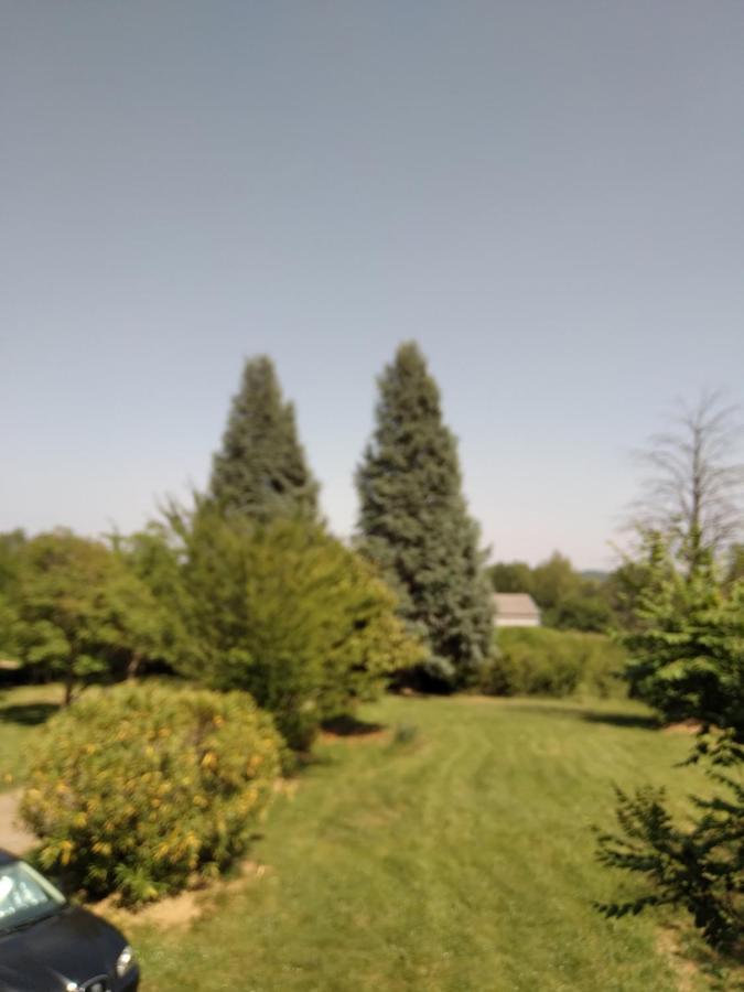 F2 Coquet A 20Mn De Marciac Saint-Martin (Gers) Exterior foto